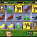 Crazy Monkey – обзор одного из самых популярных игровых автоматов